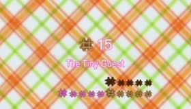Chicchana okyaku sama