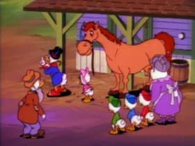 Horse Scents