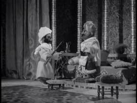 The Magic Carpet