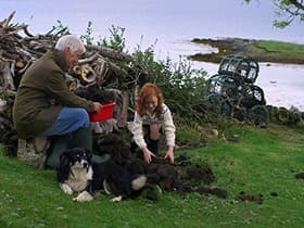 Katie Morag and the Wedding - Part One