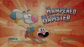 Hampered Hamster
