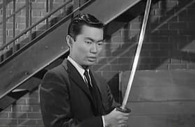 Sword of the Samurai