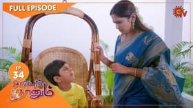 Episode #1.34