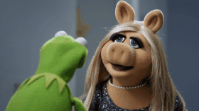 Pig Girls Don't Cry