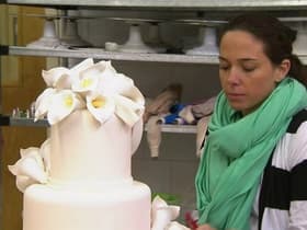 Biplane, Bridezella & Busting Buddy