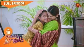 Episode #1.16