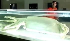 Giant Squid, Cannibals