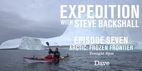 Arctic: Frozen Frontier
