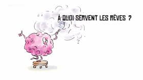 À quoi servent les rêves?