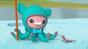 The Octonauts and the Wild Windstorms/The Octonauts and the Siberian Salamander
