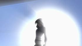 The Phantom Ninja