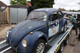 Beetle Mania