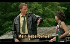 Mein lieber Schwan