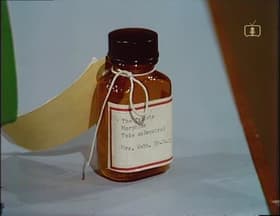 Euthanasia: Part One