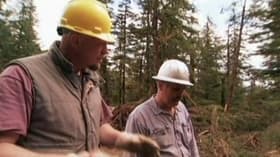 Logging