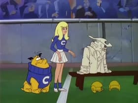 Pigskin Predicament