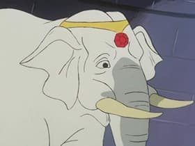 The Disappearing Elephant Mystery