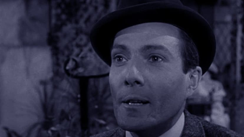 The Perfect Murder