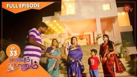 Episode #1.33