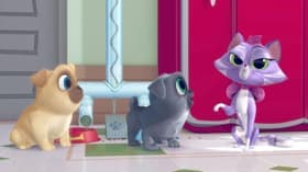 The French Toast Connection/Take Me Out to the Pug Game