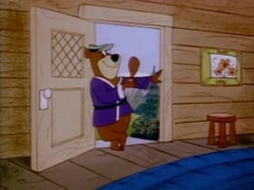 In Search of the Ninja Raccoon