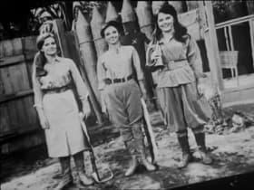 The Amazons