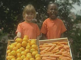 Colours: Orange
