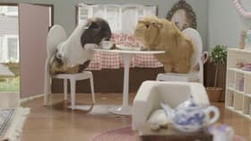 Frankie's Tea Party