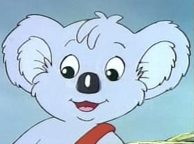 Blinky Bill's Zoo