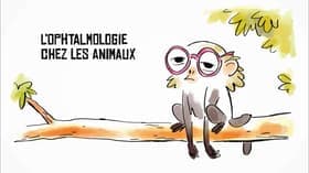 L'ophtalmologie chez les animaux