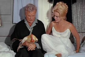 My Husband, the Rooster Renter