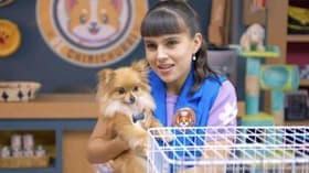 Franco acepta que extraña a Paloma