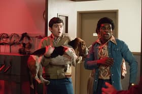 Dog Day Afternoon