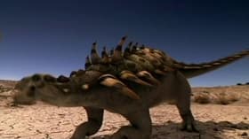Armageddon