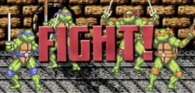 Teenage Mutant Ninja Turtles Battle Royale