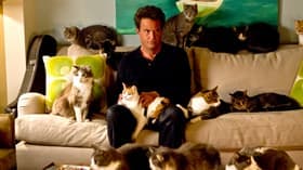 He Got Game, She Got Cats