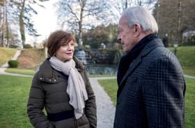 Bewegende Geste