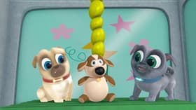 Design-A-Dog/Ice, Ice Puggy