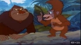 Who Wants to Be a Baboon?