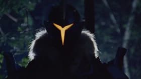 Oridzuru no ninja