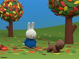 Miffy and the Leaves