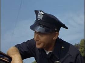 Log 141: The Color TV Bandit