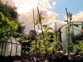 The Country Garden