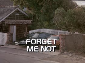 Forget Me Not