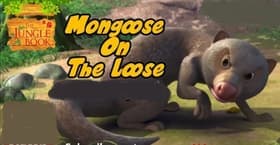 Mongoose on the Loose