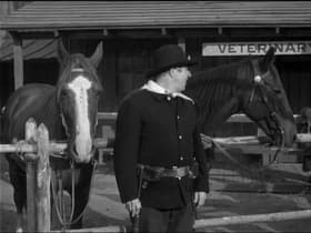 Iron Horse Go Home