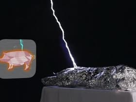 Sparks Will Fly