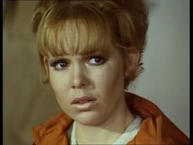 The House on Haunted Hill