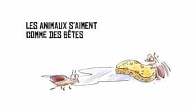 Les animaux s'aiment comme des bêtes