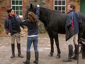 Dresses and Dressage